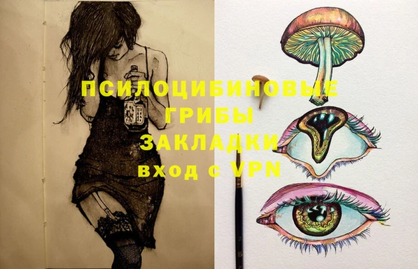 ешки Кукмор