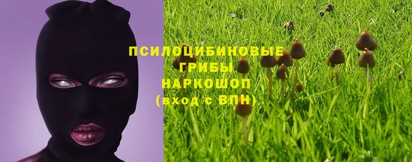 ешки Кукмор